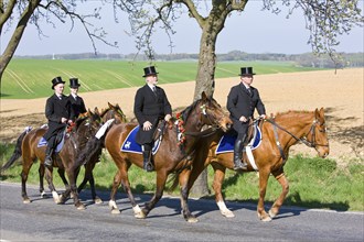 Every year at Easter there are about 5 processions in Lusatia, each with about 200 riders. The