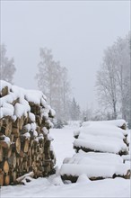 Wintertime, woodpile, Germany, Europe