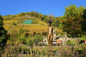 Klaus Zimmerling Winery