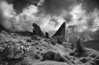 Malga-Alm below the Geisler peaks, Puez-Odle nature Park, Seceda, Val Gardena, Trentino, South