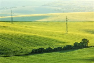 Moravian summer rolling landcsape with two power line tower. Moravia, Czech Republic, Europe