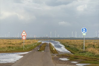 Hamburg Hallig, traffic sign, caution sheep, car, wind turbines in the Koog, Reußenköge, North