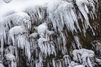 Icicles on the rock face at Skogafoss waterfall, Sudurland, Iceland, Europe