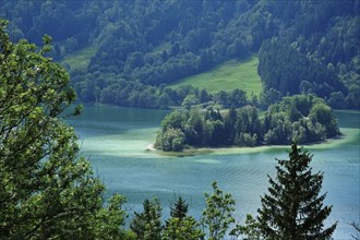 View of the beautiful Schliersee in August, Pre-Alps, Bavaria, Germany, Europe