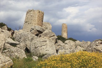 Selinunte, column parts, debris from a temple in the archaeological site of Selinunte, Trapani