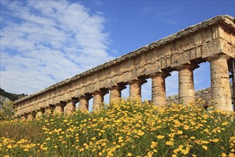 Temple of Hera, Temple of Hera in the former ancient city of Segesta, the province of Trapani,