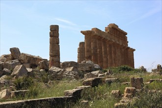 Selinunte, remains of the temples of the acropolis in the archaeological site of Selinunte, Trapani