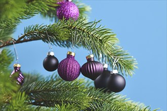 Close up of beautiful purple glass tree bauble with decorated Christmas tree with other seasonal