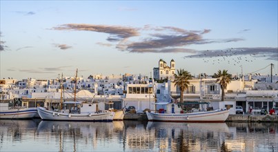 View of Naoussa, Fishing boats in the harbour at sunset, reflected in the sea, White Cycladic