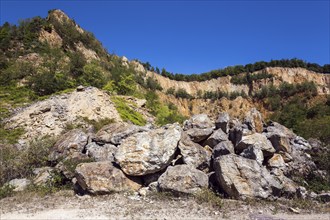 Disused Vatter porphyry quarry, Dossenheim, Baden-Württemberg, Germany, Europe