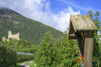 Untermontani castle ruins and wayside cross, Latsch, South Tyrol, Italy, Europe