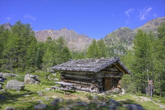 Small wooden hut with bench, hike from Weißbrunnsee to Fiechtalm, Ulten, South Tyrol, Italy, Europe