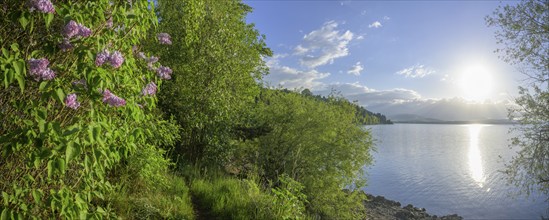 Liptovská Mara Reservoir, Liptovská Sielnica, Žilinský kraj, Slovakia, Europe