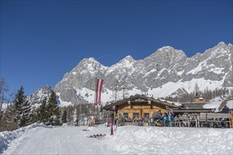 Brandalm, Ramsau am Dachstein, Styria, Austria, Europe