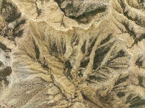 Bare ridges of eroded sandstone in the badlands of the Tabernas Desert, Europe's only true desert,