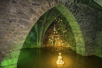 Medieval cistern, Weitra, Lower Austria, Austria, Europe