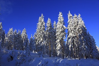 Winter landscape in the Fichtelgebirge, Bayreuth district, Upper Franconia, Bavaria, Germany,