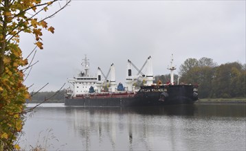 Cargo ship African Magnolia in autumn in the Kiel Canal, Schleswig-Holstein, Germany, Europe