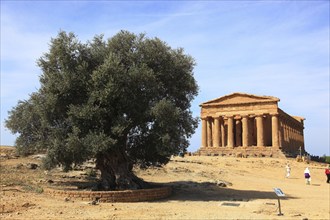 In the Parco Valle dei Templi di Agrigento, Unesco World Heritage Site, remains of the ancient city