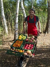 Man in red work trousers pushing wheelbarrow full of different fruits in birch forest, healthy