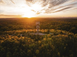 Aerial view of the Schönbuchturm in autumn forest at sunrise, Herrenberg, Germany, Europe