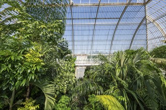 Palm House, oldest Victorian greenhouse in the world, Royal Botanic Gardens, Kew, London, England,