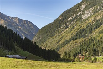 Agriculture, Alpine pasture in the Zillergrund valley, Zillertal Alps, Alpine pasture, mountain