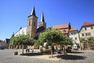 Catholic parish church of St Mary of the Rosary and St Regiswindis, also known as Steigerwald