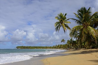 A lonely beach with coconut palms under a slightly cloudy sky near a calm sea, Limon beach, El