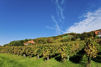 Klaus Zimmerling Winery