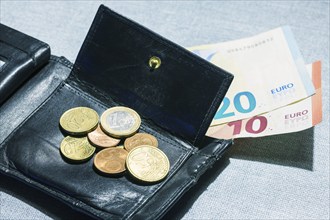 Wallet with coins and notes, euro, Germany, Europe