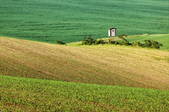 Rural Europe background, Moravian rolling landscape with hunting tower shack on sunset. Moravia,