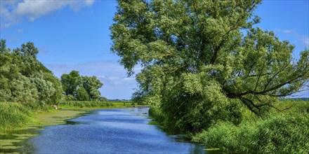 Picturesque river landscape, view from the heritage-protected wooden bascule bridge over the Trebel