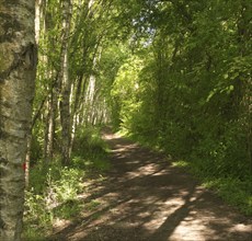 Biking and hiking trail at Mechower See. in the Schaalsee UNESCO Biosphere Reserve in Northwest