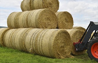 Straw bales are stacked with a wheel loader, Schleswig-Holstein, Germany, Europe