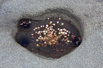 Coins in the water of the Rosstrappe wishing well, horseshoe imprint in the rock at the Roßtrappe,