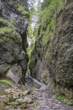 Climbing installation in the Nove Diery gorge, Terchová, Žilinský kraj, Slovakia, Europe