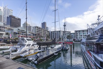 Viaduct Harbour, Auckland, New Zealand, Oceania