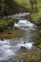 Mountain stream, Zellerache flows through the Helenental, Mondsee, Mondseeland, Salzkammergut,