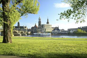 Dresden Scherenschnitt