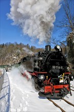 Little railway in the Rabenauer Grund