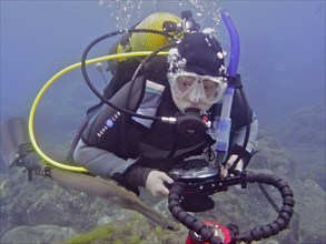 Diver with camera looking at atlantic cornetfish (Aulostomus strigosus), dive site Puerto Naos, La