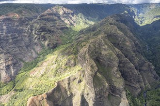 Aerial view Waimea Canyon, Waimea Canyon State Park, Kauai, Hawaii, USA, North America