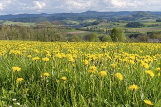 View from the Maulkuppe, mountain in the Hessian Rhön nature Park, Hesse, Germany, Europe