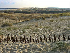 The Parnidis Dune in the Curonian Spit National Park is one of the largest shifting sand dunes in