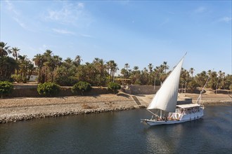 Excursion boat on the Nile, Egypt, Africa