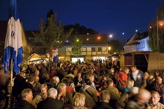 Autumn and wine festival in Altkötzschenbroda