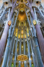 Interior view of the Familia Sagrada by the architect Antonio Gaudi in Barcelona, Spain, Europe