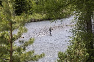 Fox Creek, Colorado, Fishing in the Conejos River in Rio Grande National Forest