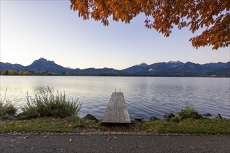 Steg am Hopfensee, Allgäu Alps, Hopfen am See, Ostallgäu, Bavaria, Germany, Europe